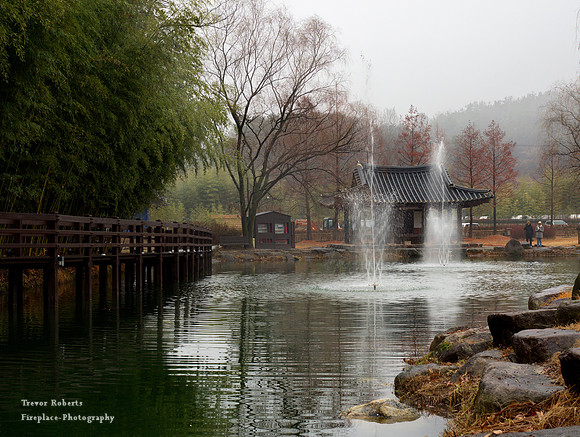 Bamboo Forest Park