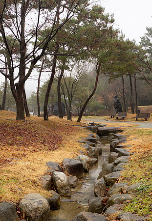 Bamboo Forest Park