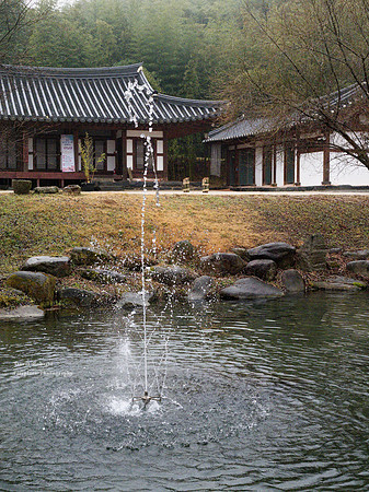 Bamboo Forest Park