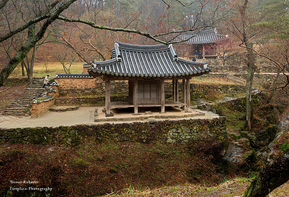 Bamboo Forest Park