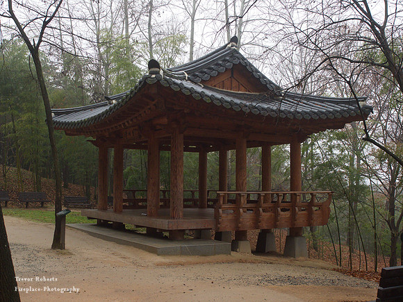 Bamboo Forest Park