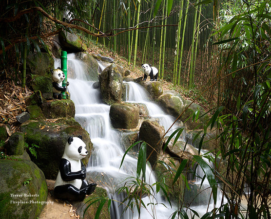 Bamboo Forest Park