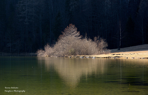 Laudachsee, March 2020