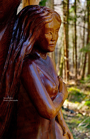 A mermaid up a mountain ? At Laudachsee March 2020