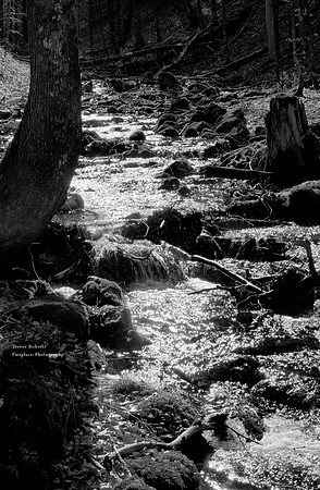 River of light