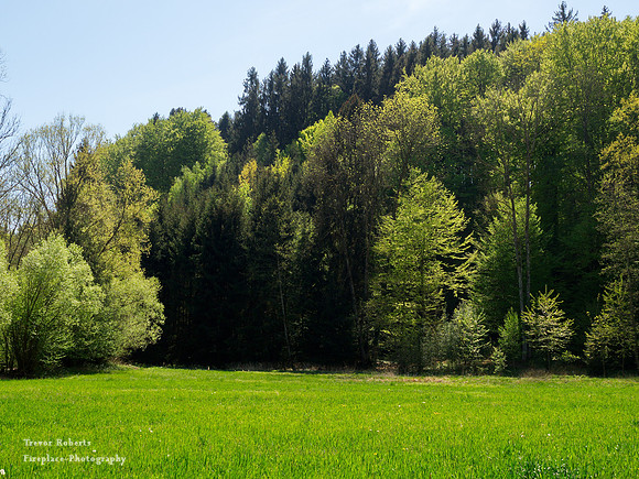 40 Shades of green - Redlbach