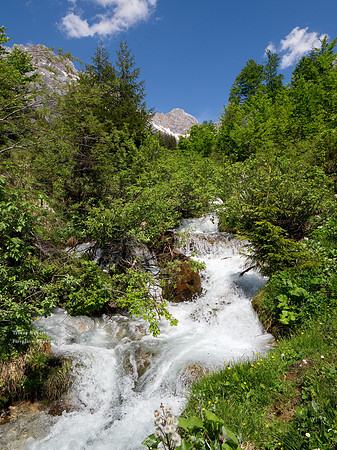 Triefen, May 2020
