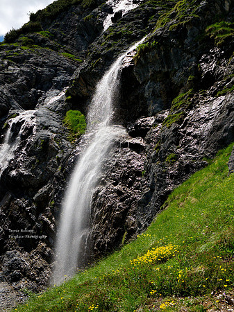 Riedinger Waterfalls  June 2020. That seagul again :-)
