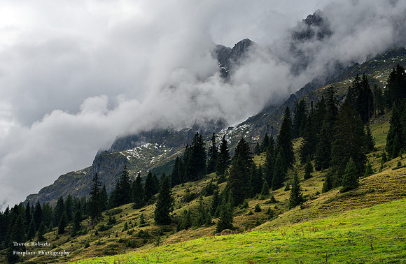 Mitterfeldalm: August 2022