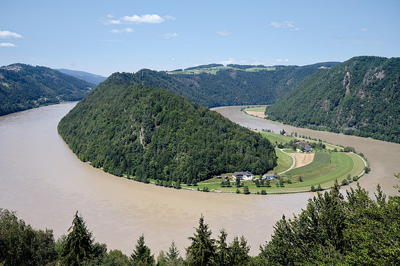 Donauschlinge-Schlögen
