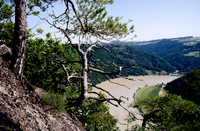 Jumping like a mountain goat from rock to rock I got to this precarious position for a shot of the Danube from above on this steep slope