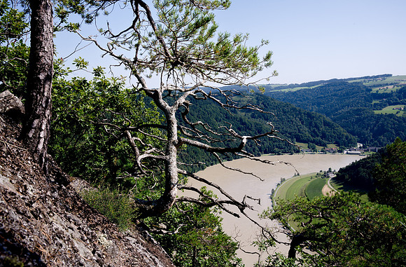 Jumping like a mountain goat from rock to rock I got to this precarious position for a shot of the Danube from above on this steep slope