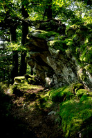 Enchanting places in the forest 2