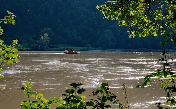 A small river cruiser on the sparkling river