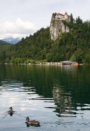 Bled lake