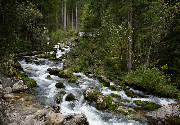 The Schwarzbach gently flowing away after the excitemnet at the waterfall