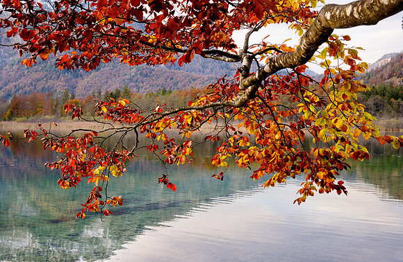 Offensee Autumn 2020 1