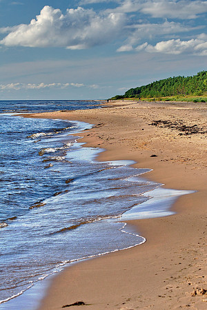 Beach in Estonia