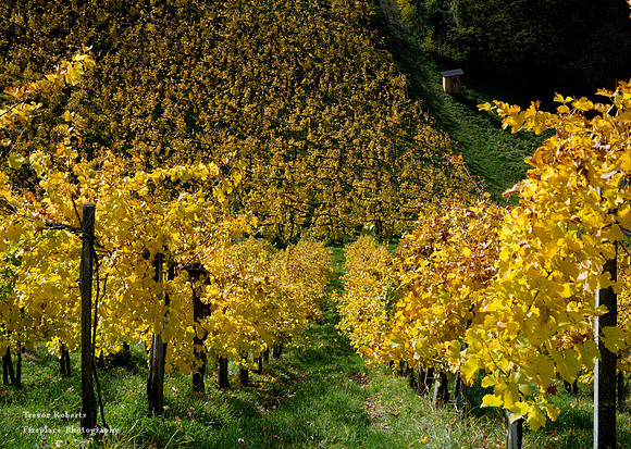Suedsteiermark 2020 #22