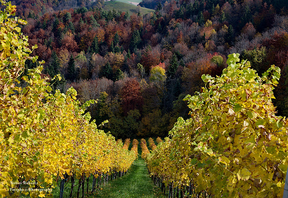 Suedsteiermark 2020 #23