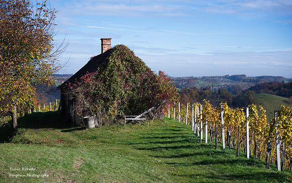Suedsteiermark 2020 #26