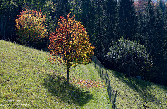 Suedsteiermark 2020 #27