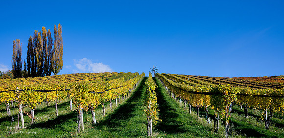 Suedsteiermark 2020 #31