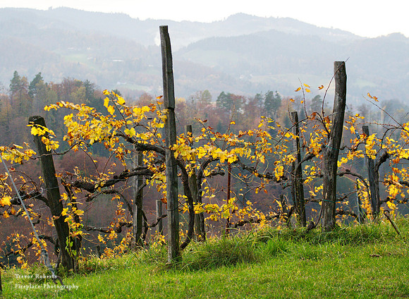 Suedsteiermark 2020 #39