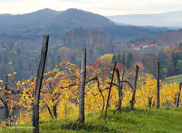 Suedsteiermark 2020 #41