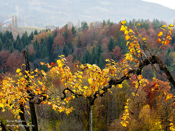 Suedsteiermark 2020 #42