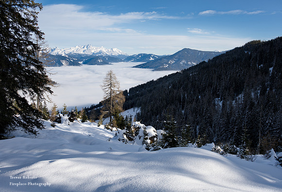 View from a track near Arthurhaus. Jan 2021