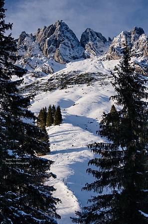 Off piste ski tracks near Arthurhaus. Jan 2021