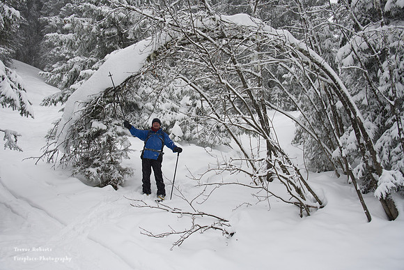 Snow shoe walk starting at Arthurhaus Jan 23 2021