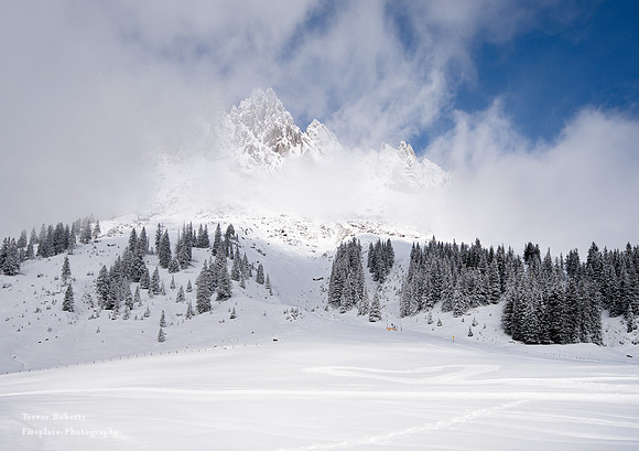 Snow shoe walk starting at Arthurhaus Jan 23 2021