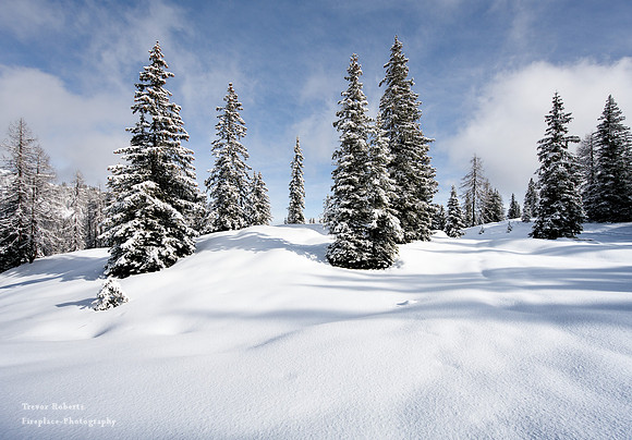 Snow shoe walk starting at Arthurhaus Jan 23 2021