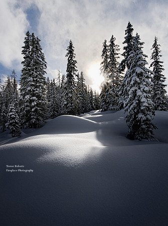 Snow shoe walk starting at Arthurhaus Jan 23 2021