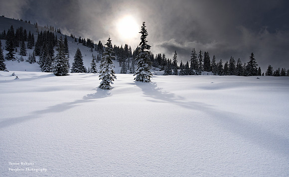 Snow shoe walk starting at Arthurhaus Jan 23 2021