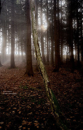 A foggy day on Gmnunderberg #3