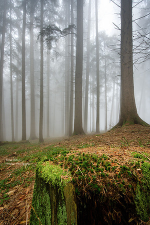 A foggy day on Gmnunderberg #2
