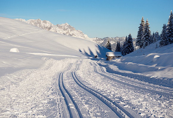 Snow shoe walk -Jan 2022- Arthurhaus