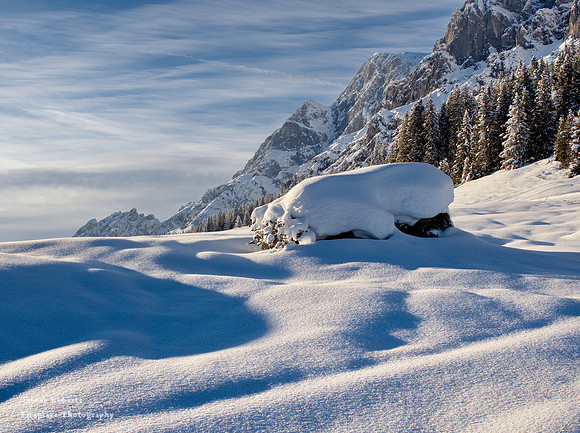 Untouched snow on a sunny day in Jan 2022