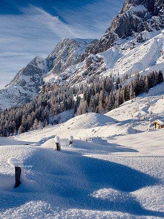 Snow shoe walk -Jan 2022- Arthurhaus