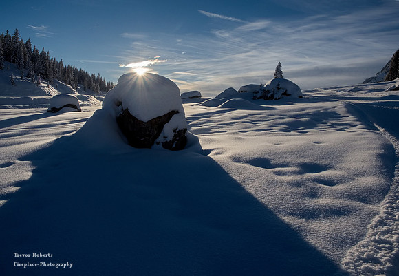 Snow shoe walk -Jan 2022- Arthurhaus
