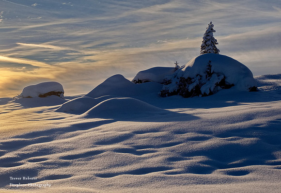 Snow shoe walk -Jan 2022- Arthurhaus