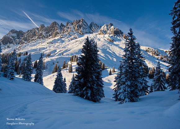 Snow shoe walk -Jan 2022- Arthurhaus