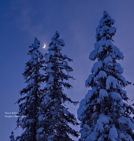 Snow shoe walk -Jan 2022- Arthurhaus