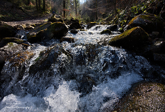 The stream flowing out of Lake Laudachsee  2