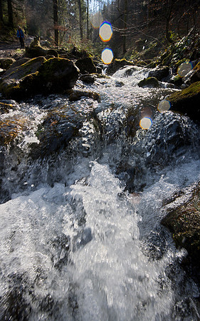 The stream flowing out of Lake Laudachsee  1