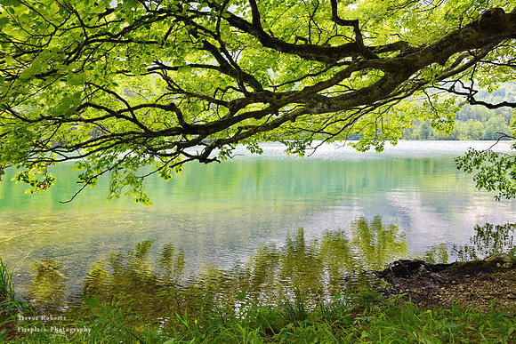 Lake Langbathsee