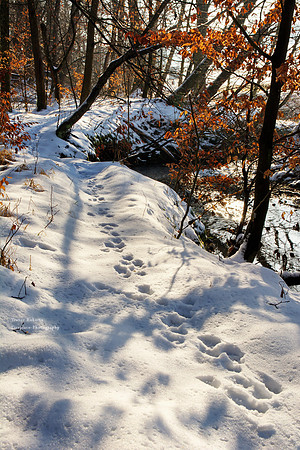Who made these tracks?